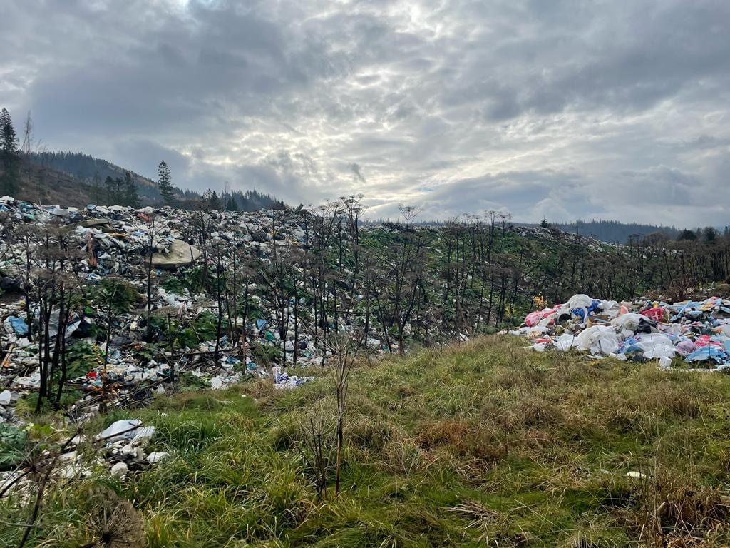 Курортне селище на Львівщині перетворили на полігон побутових відходів: поліція взялася за справу