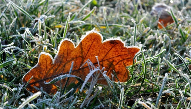 Сильний заморозок: якою завтра буде погода на Львівщині