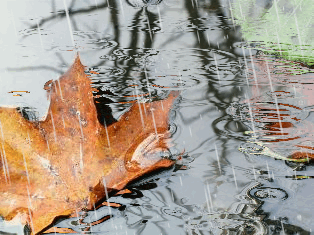 Зранку дощитиме: якою очікувати погоду завтра на Львівщині