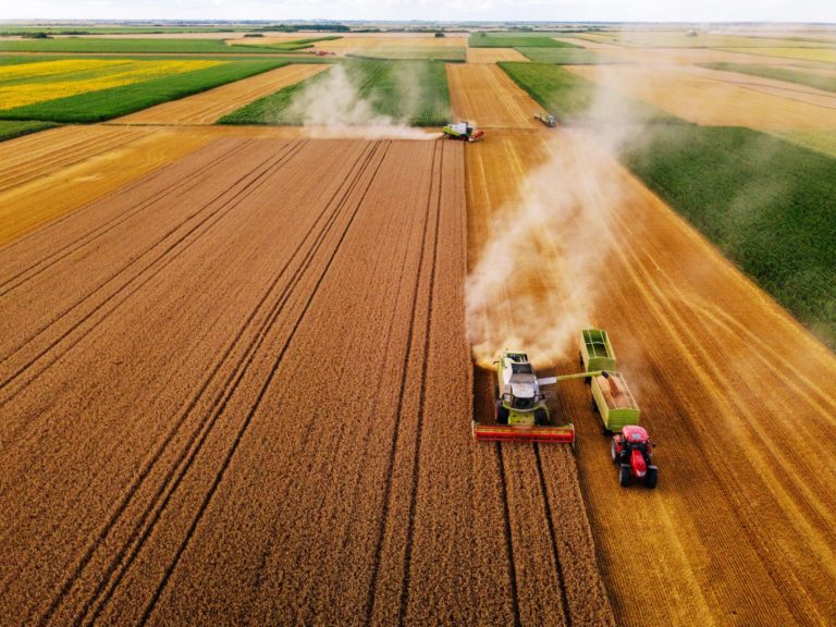 Рекордна врожайність сої: «Акріс Захід» проводить жнива з врожайністю вище прогнозованої