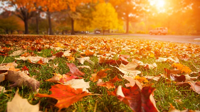 Без опадів: якою буде погода на Львівщині 24 жовтня