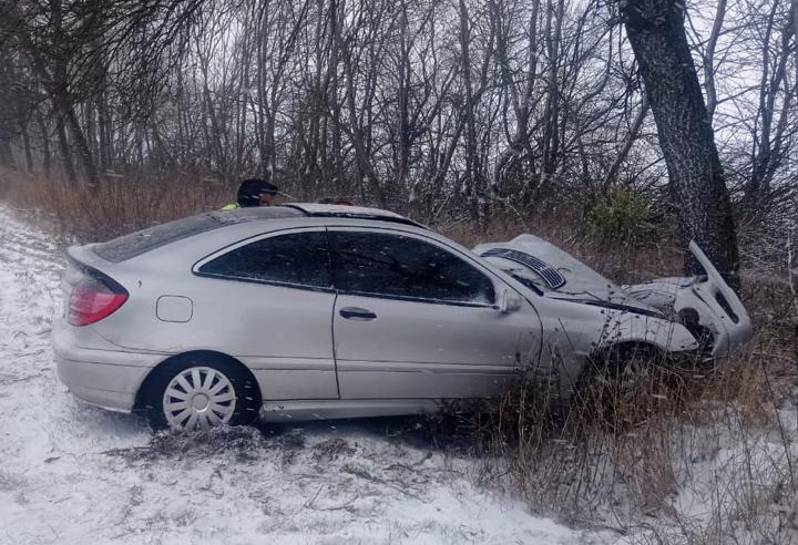 На трасі Львів-Луцьк водій врізався в дерево: постраждали маленькі діти