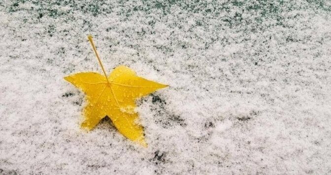 З мокрим снігом та ожеледицею: синоптики розповіли якою буде погода завтра