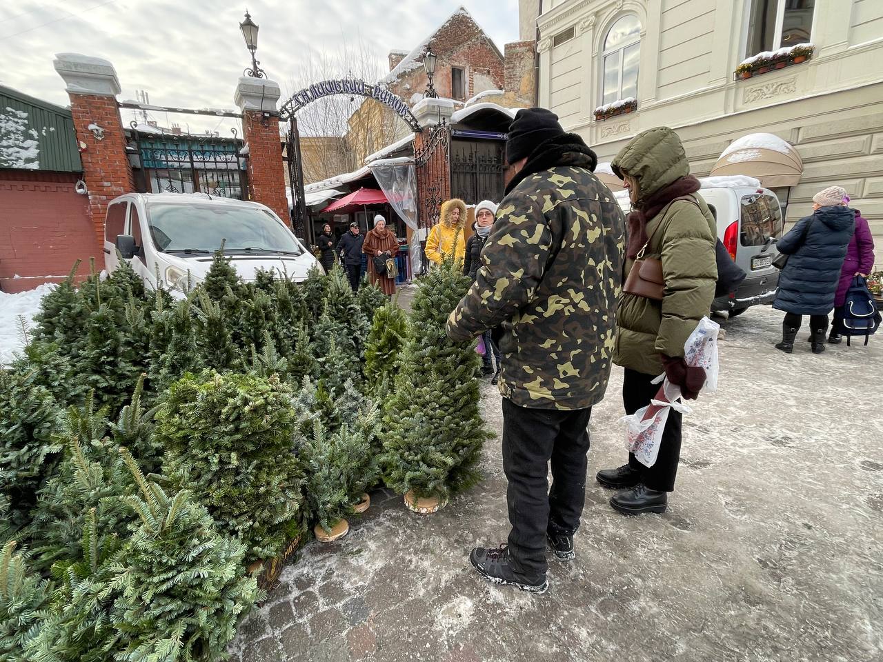 Як обрати та скільки коштують новорічно-різдвяні дерева цьогоріч: поради еколога