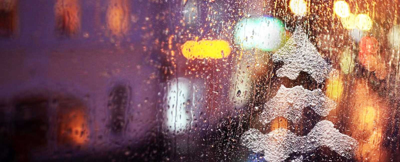 До 10° тепла і дощ: синоптики розповіли, якої буде погода завтра на Львівщині