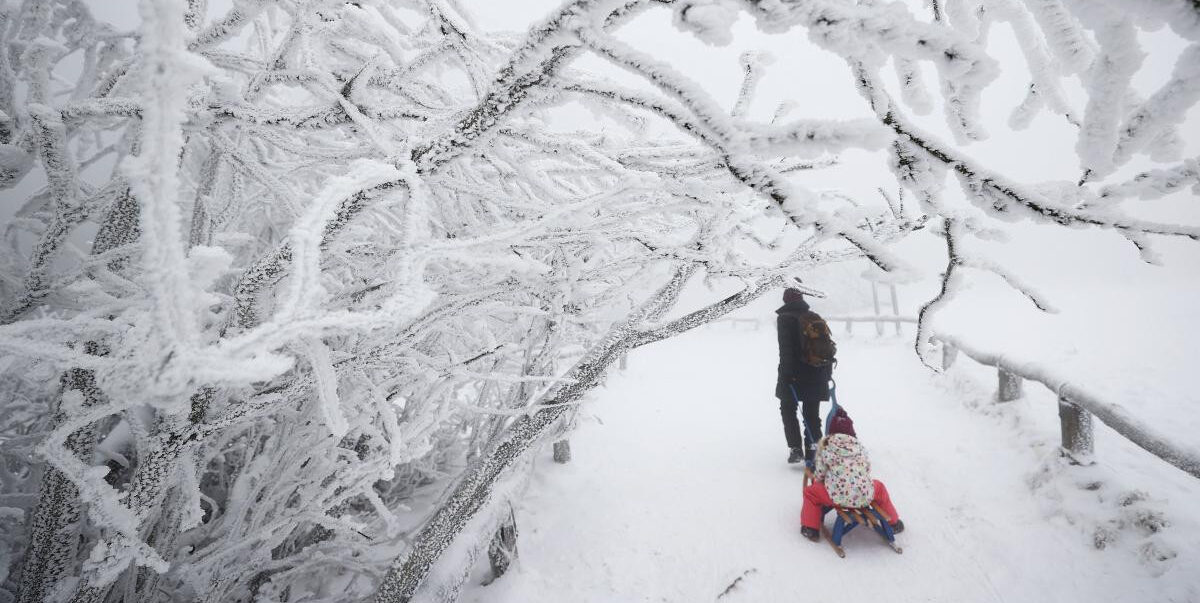 На Львівщині прогнозують хуртовини і ожеледицю