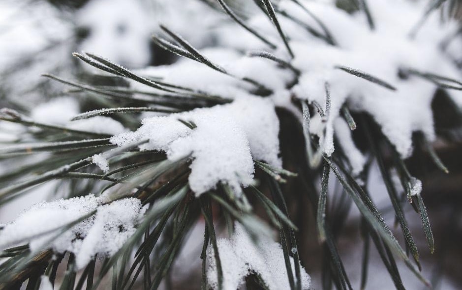 Завтра на Львівщині прогнозують сніг з дощем