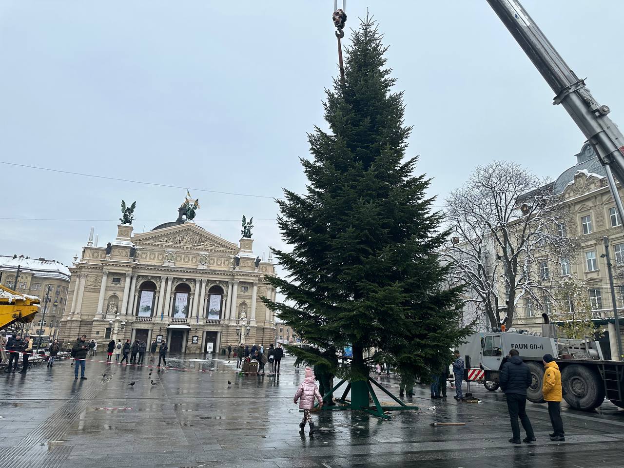 У Львові вже встановили центральну ялинку (ВІДЕО)