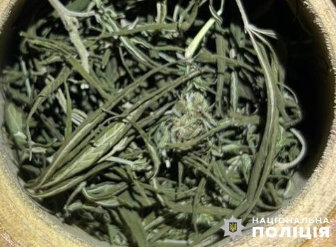 На Золочівщині затримали наркоторговця з марихуаною на 100 тисяч гривень