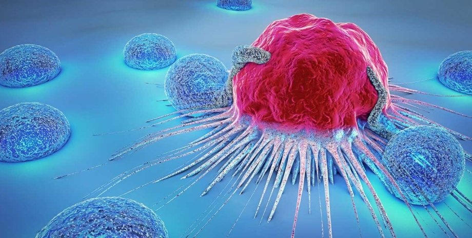 У Львові протягом тижня жінки зможуть безкоштовно перевіритися на рак шийки матки