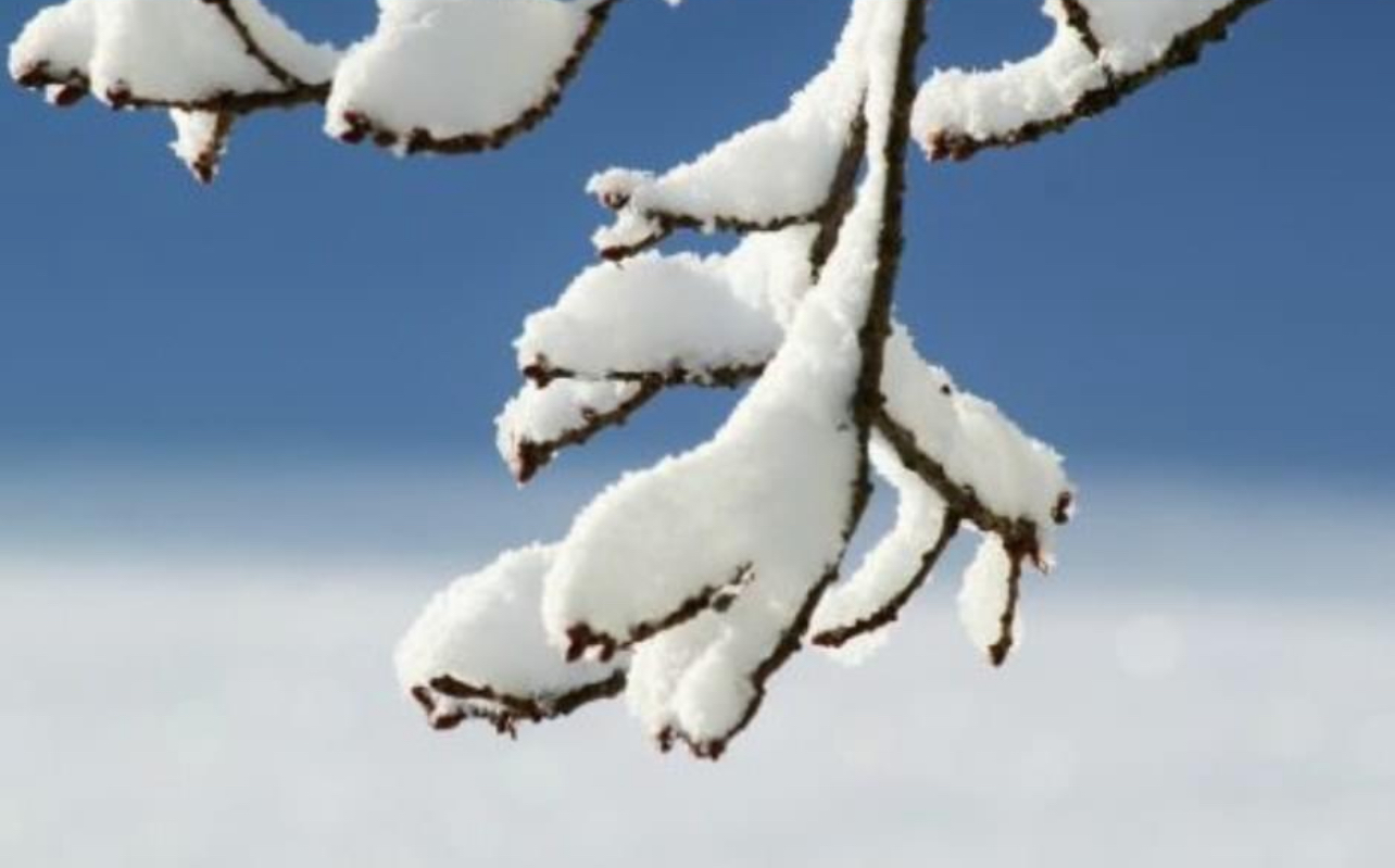 Завтра на Львівщині буде дощ з мокрим снігом