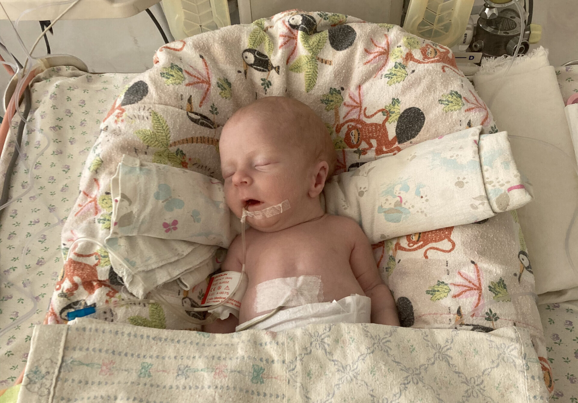 Сім’я зі Львова втратила новонародженого хлопчика через лікарські помилки: коли встановлять і покарають винних