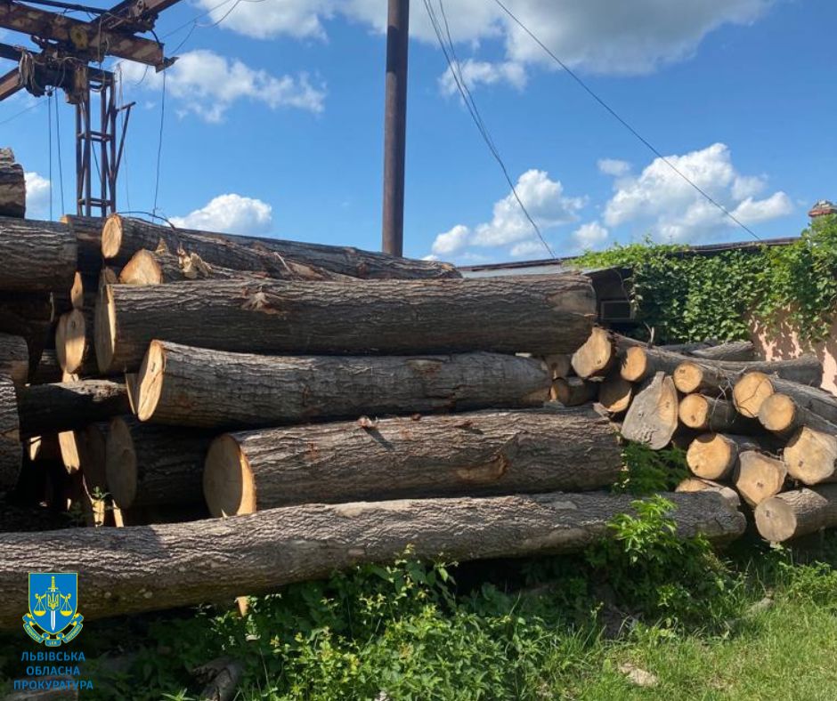 На Львівщині викрили 3 чоловіків, які незаконно вирубували ліс: збитки сягають 2,2 млн грн