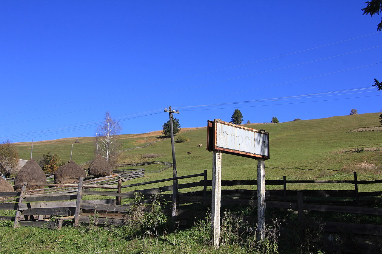 Компанія Козицького планує видобувати газ і нафту на Самбірщині