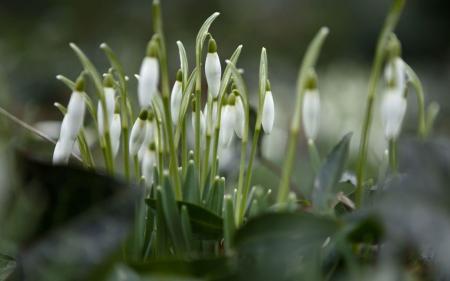 На Львівщині похолоднішає: в горах прогнозують мороз