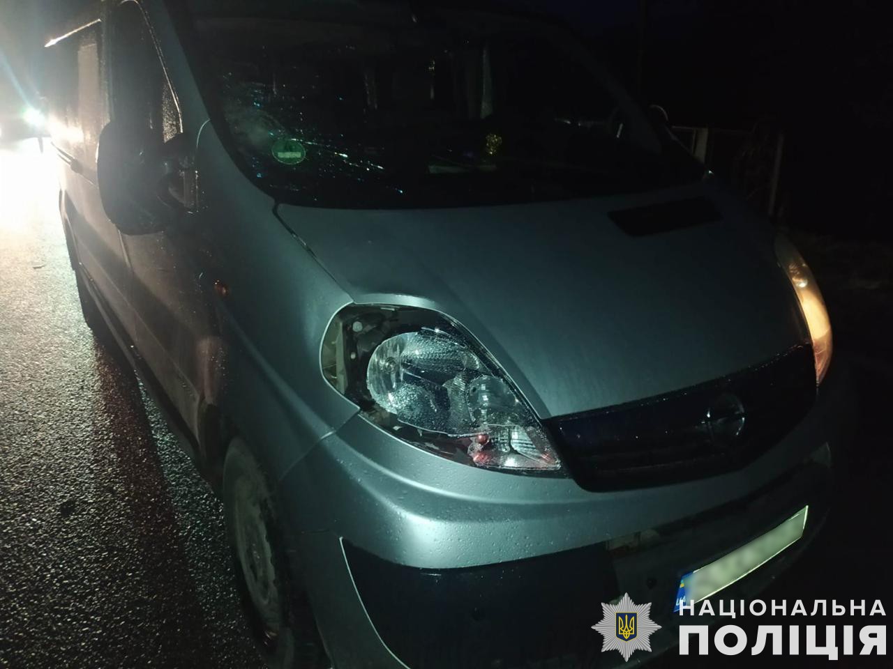 На Львівщині водій мікроавтобуса збив на смерть 57-річного місцевого мешканця