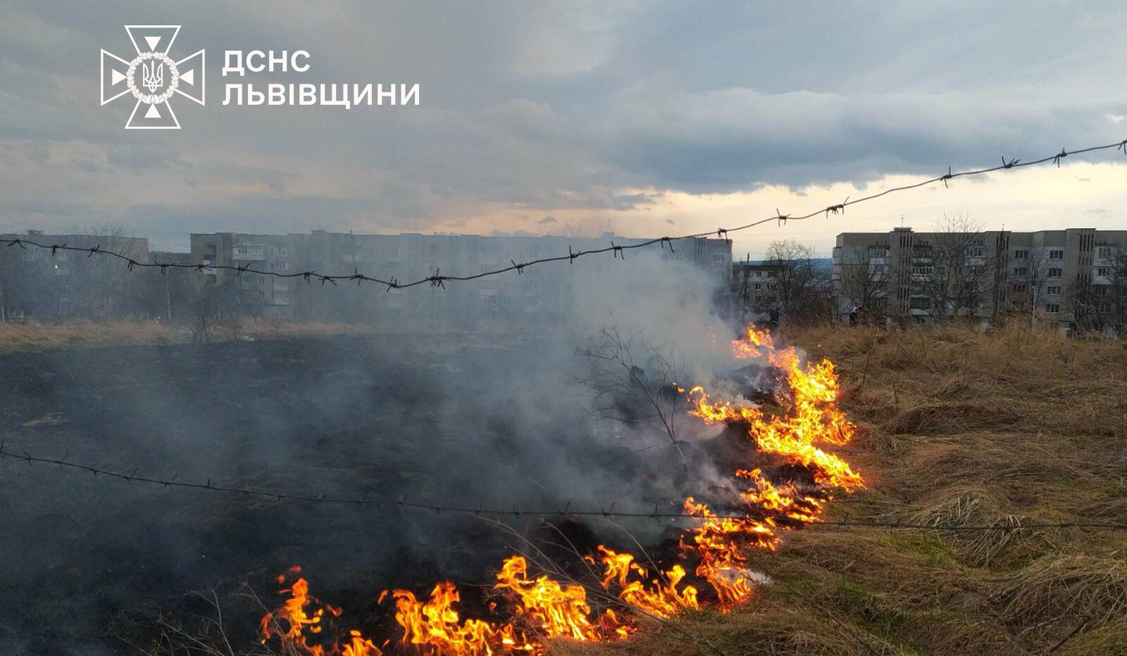 Лише за одну добу рятувальники Львівщини ліквідували 16 пожеж сухої трави