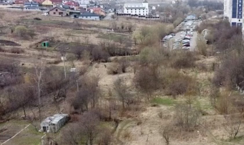 У Львові незаконно захопили 44 земельні ділянки: дані скерують правоохоронцям