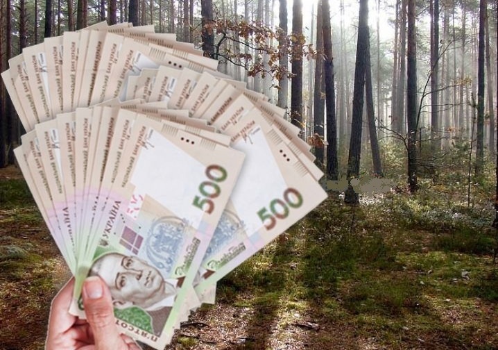 Турківська міськрада готова профінансувати Галсільліс на 1 мільйон гривень