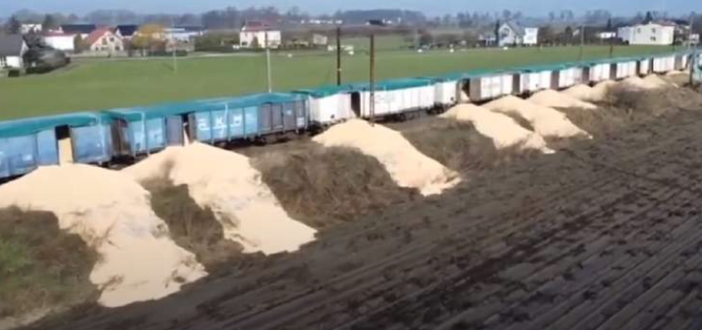 Польські фермери висипали на землю 8 вагонів з українською кукурудзою