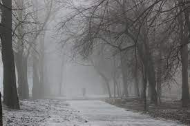 Завтра на Львівщині синоптики прогнозують туманну погоду