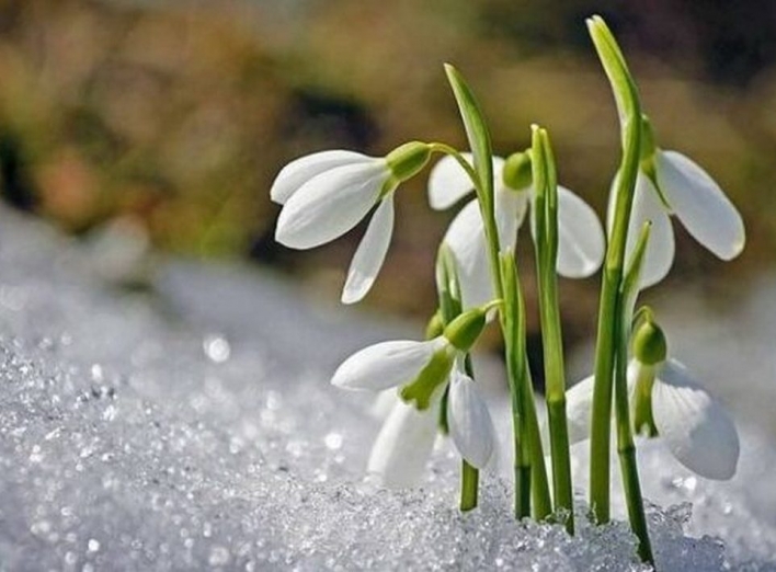 Завтра за Львівщині синоптики прогнозують до 15° тепла