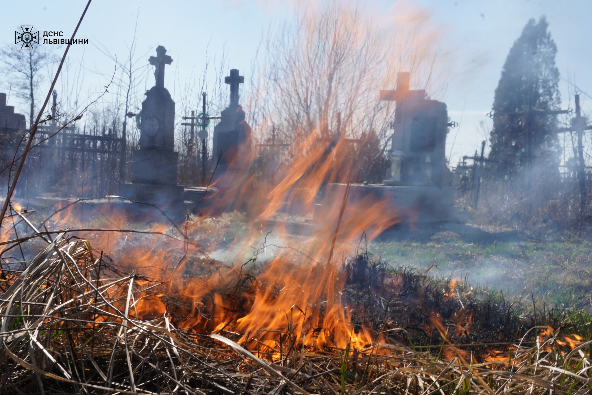 Вогнеборці на Львівщині щодня гасять по 10-15 пожеж сухостою: еколог пояснює причини і наслідки дій паліїв