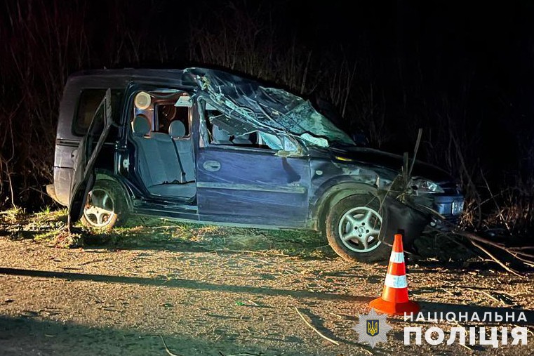 З вини п’яного водія на Стрийщині постраждали троє дівчат-підлітків