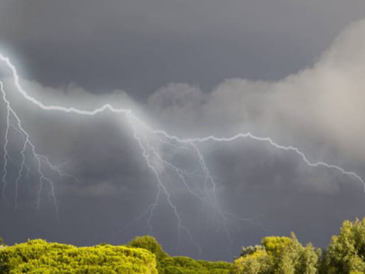 Грози та шквальний вітер: синоптики розповіли, якою буде погода 29 березня на Львівщині