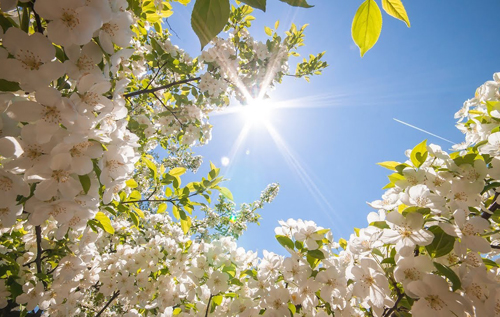 Завтра на Львівщині температурні показники сягнуть понад 20°