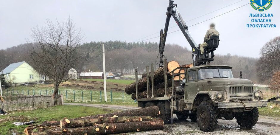 Лісничому на Львівщині загрожує 10 років тюрми за незаконний продаж деревини
