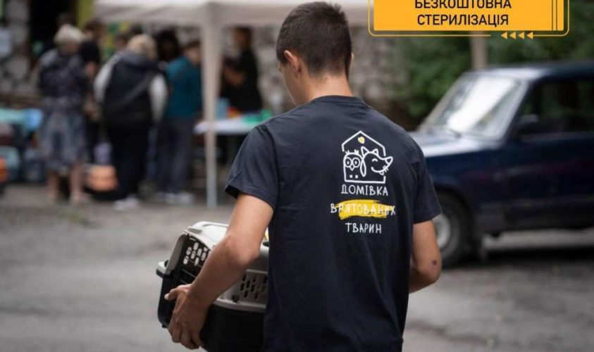 У Домівці врятованих тварин безкоштовно стерилізуватимуть котів та собак
