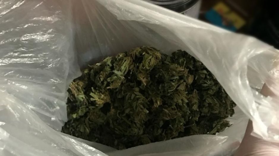 Дрогобичанина засуджено на 8 років тюрми за продаж «травички»