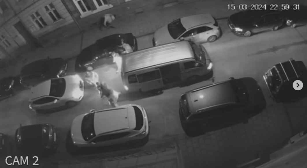 У Львові воєнкоми силою затягнули в бус волонтера: що кажуть в ТЦК (ВІДЕО)