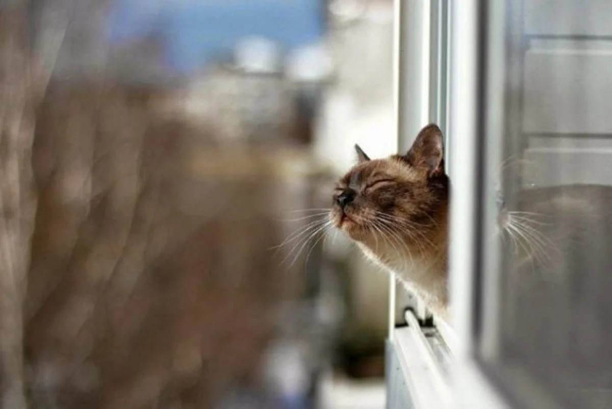 Вночі заморозки, вдень до 19° тепла: якою буде погода завтра на Львівщині