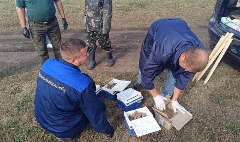 На Львівщині в травні проведуть профілактику сказу у диких тварин