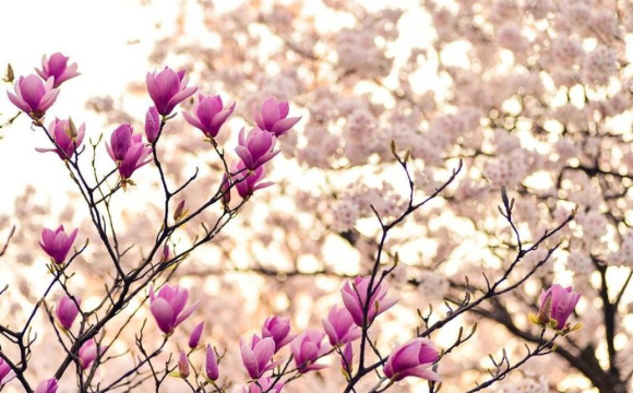 Якою буде погода на Львівщині завтра, 10 квітня