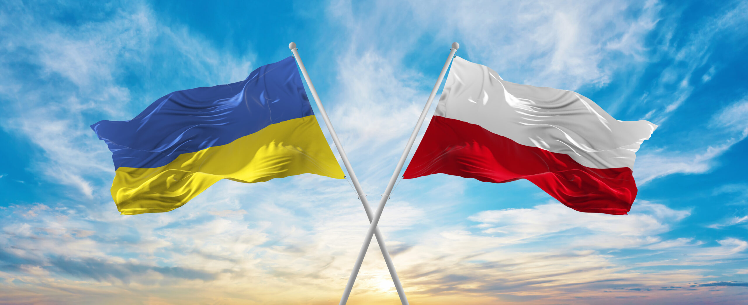 Поляки виступають проти залучення своєї армії у російсько-українську війну