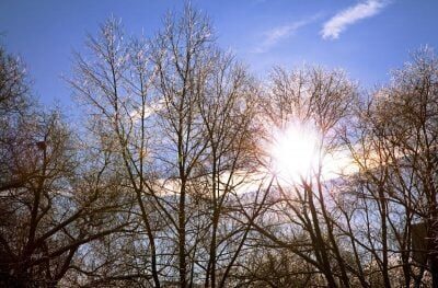 Хмарно з проясненням: якою буде погода на Львівщині 4 квітня