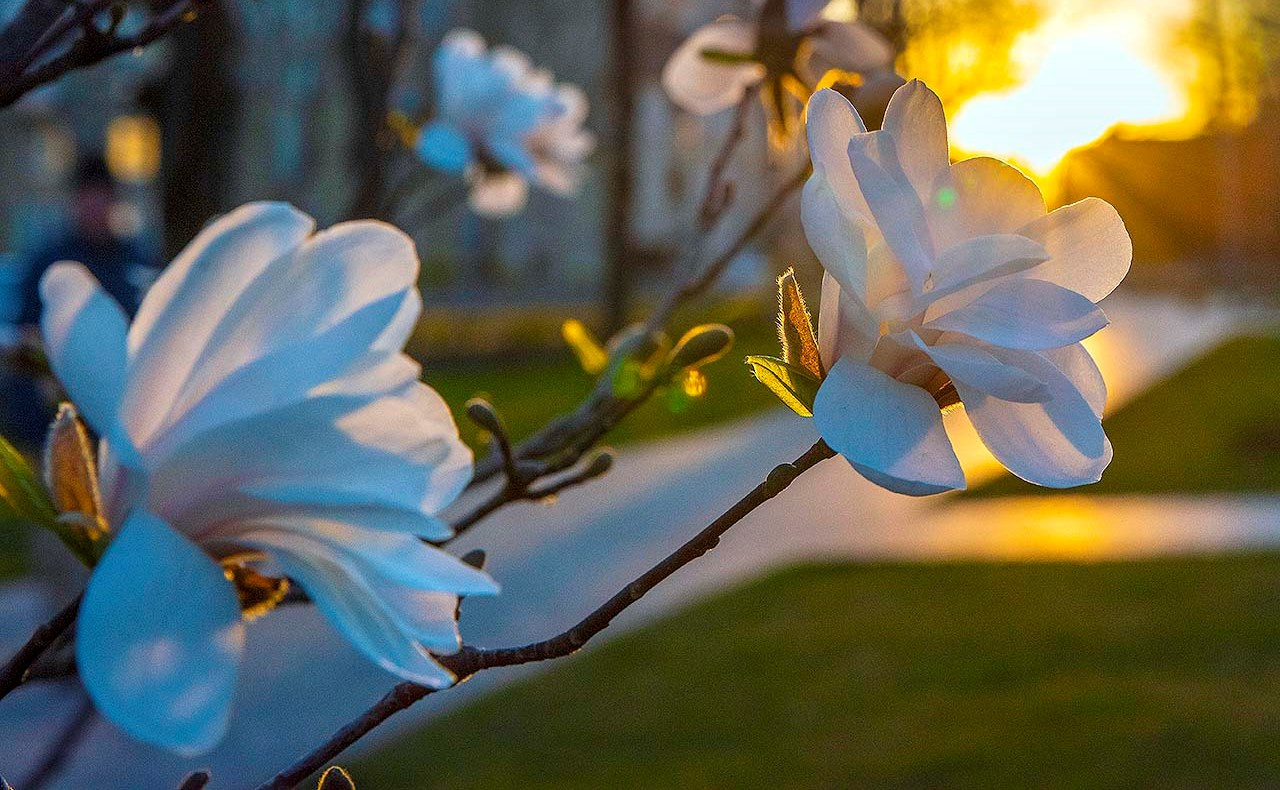 Завтра на Львівщині синоптики прогнозують до 26° тепла