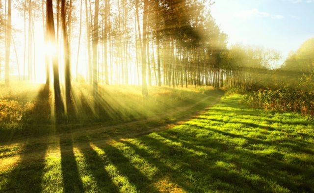 Без опадів: якою буде погода у вівторок на Львівщині