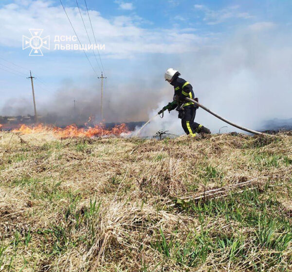 На Львівщині за добу рятувальники ліквідували 12 пожеж сухої трави