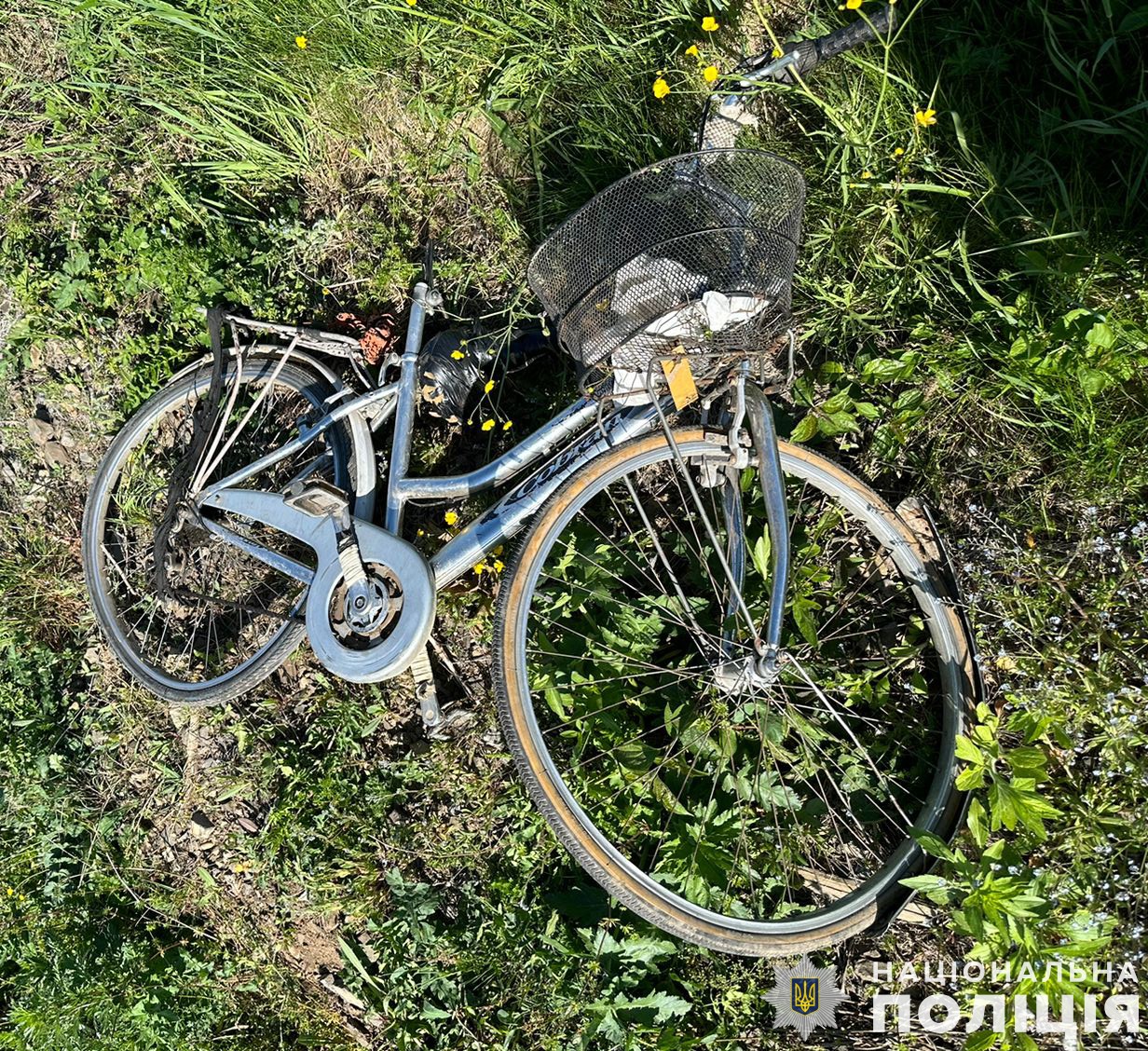 Смертельна аварія на Самбірщині: машиніст тепловоза збив велосипедиста