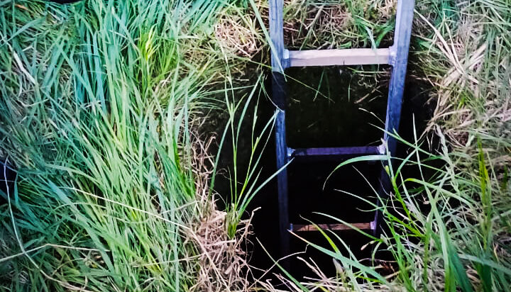 У Сколе діти і рятувальники допомогли собаці, який впав у каналізаційний колектор