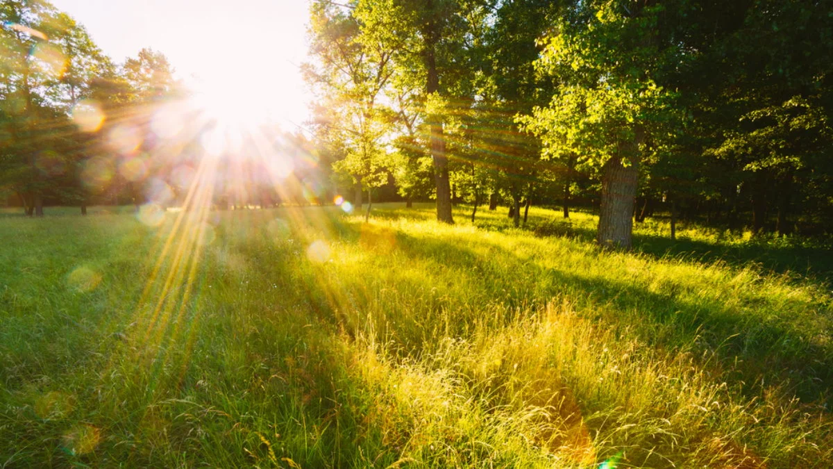 До +21° та без опадів: якою буде погода цієї п’ятниці на Львівщині
