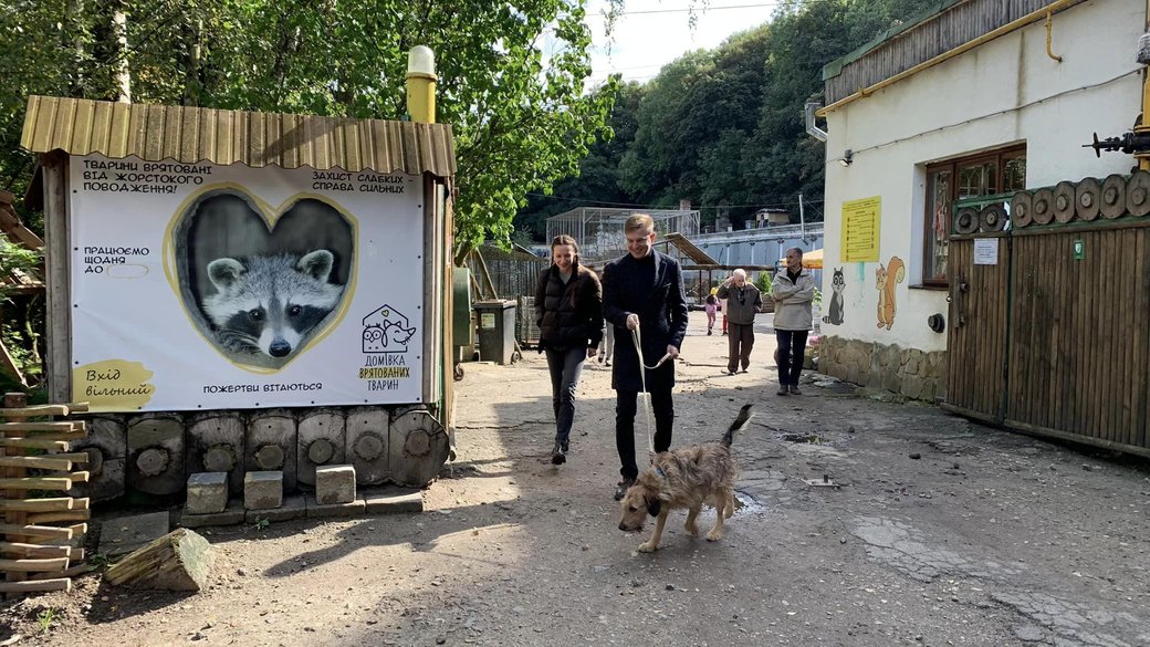 «Домівка врятованих тварин» у Львові закривається через брак фінансування