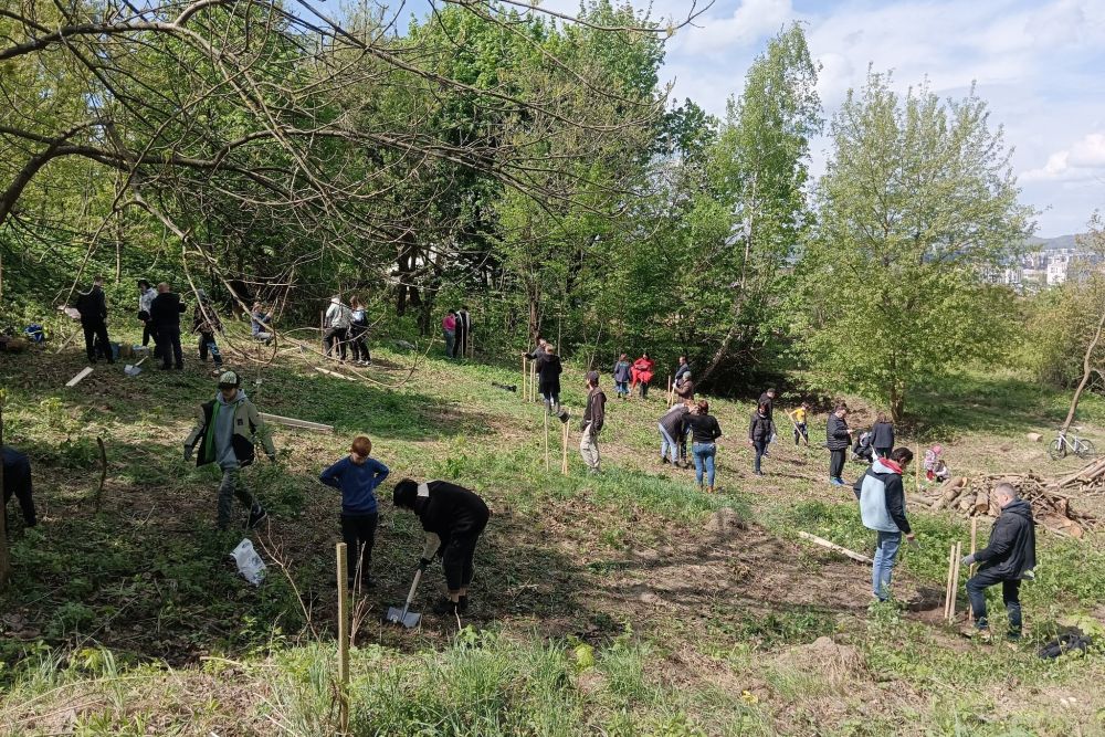 У парку «Знесіння» переселенці висадили 100 саджанців дуба