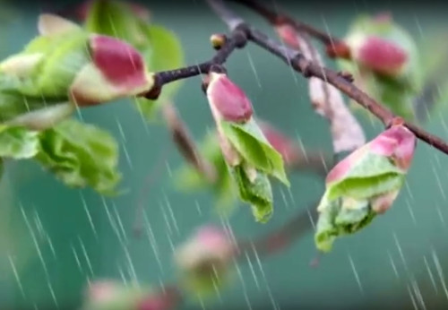 Завтра на Львівщині очікується невеликий дощ