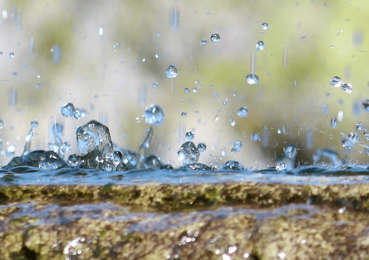 На Львівщині завтра прогнозують короткочасні дощі та град