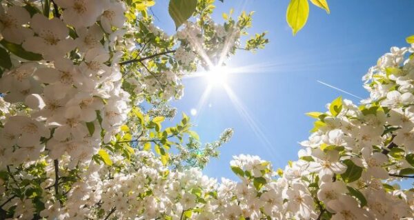 Тепло, але надзвичайна пожежна небезпека: синоптики розповіли що чекати 2 травня